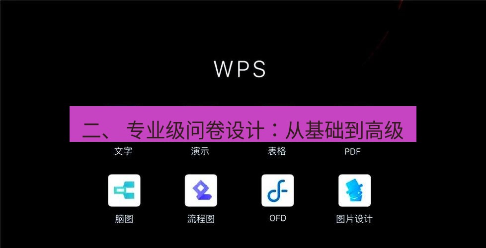 wps 二、 专业级问卷设计：从基础到高级