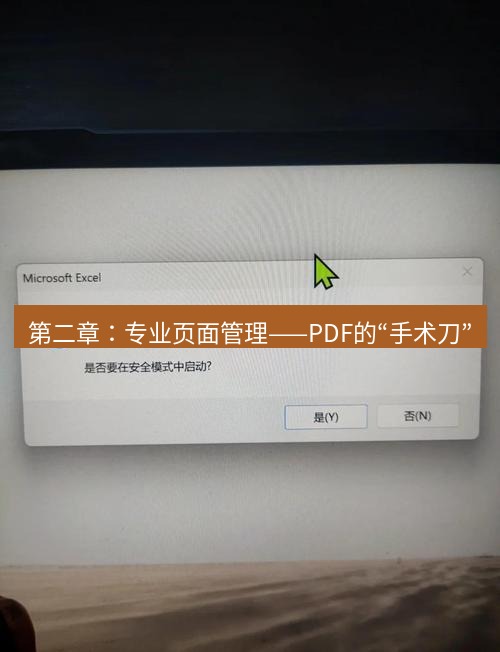 wps 第二章：专业页面管理——PDF的“手术刀”