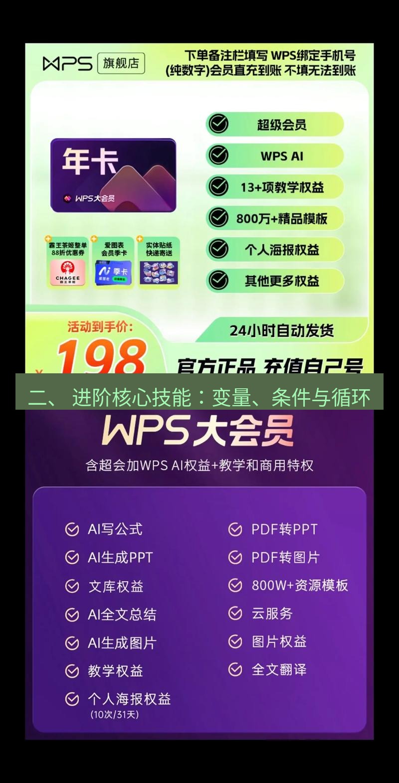 wps 二、 进阶核心技能：变量、条件与循环
