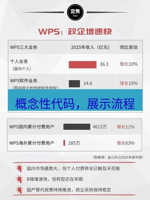 wps 概念性代码，展示流程