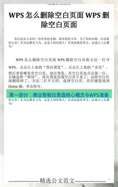 wps 第一部分：商业智能仪表盘核心概念与WPS准备