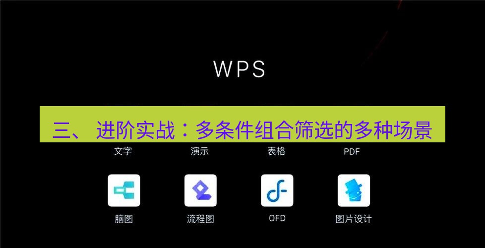 wps 三、 进阶实战：多条件组合筛选的多种场景
