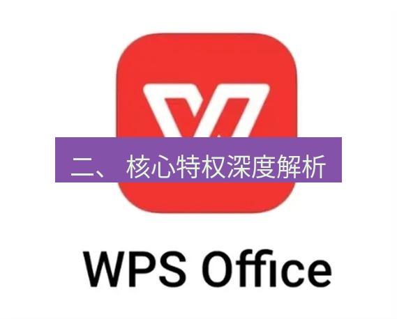 wps 二、 核心特权深度解析