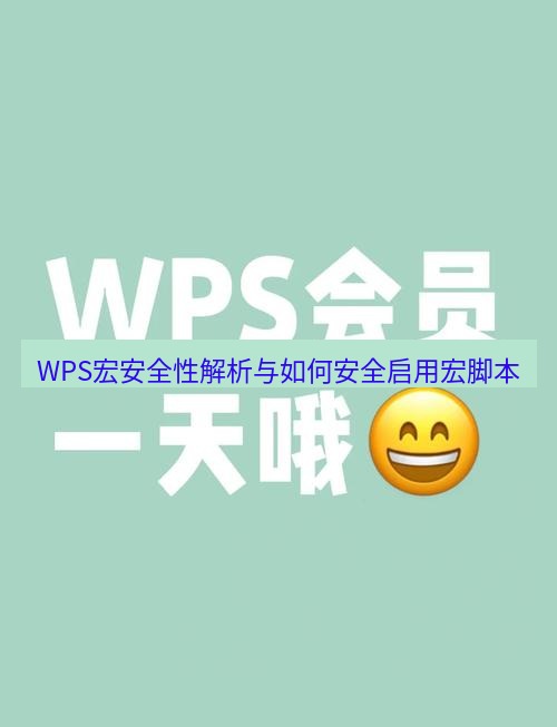 wps WPS宏安全性解析与如何安全启用宏脚本