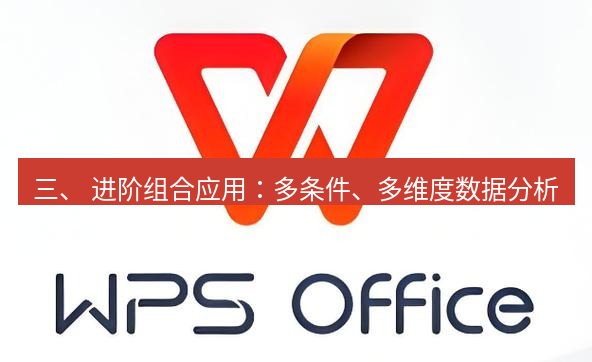 wps 三、 进阶组合应用：多条件、多维度数据分析