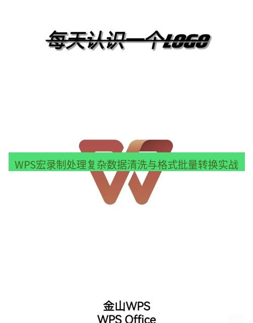wps WPS宏录制处理复杂数据清洗与格式批量转换实战