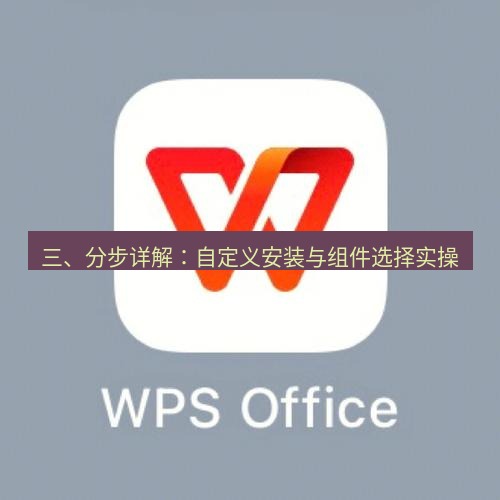 wps 三、分步详解：自定义安装与组件选择实操