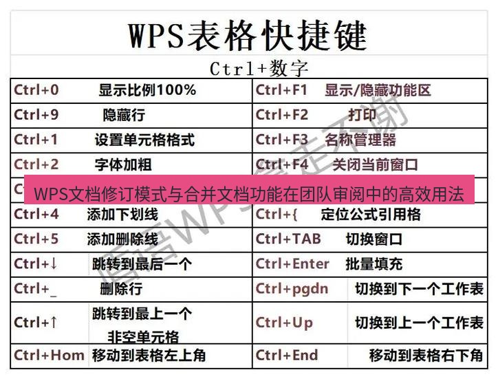 wps WPS文档修订模式与合并文档功能在团队审阅中的高效用法